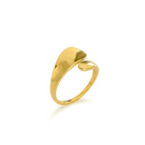 Twins Ring