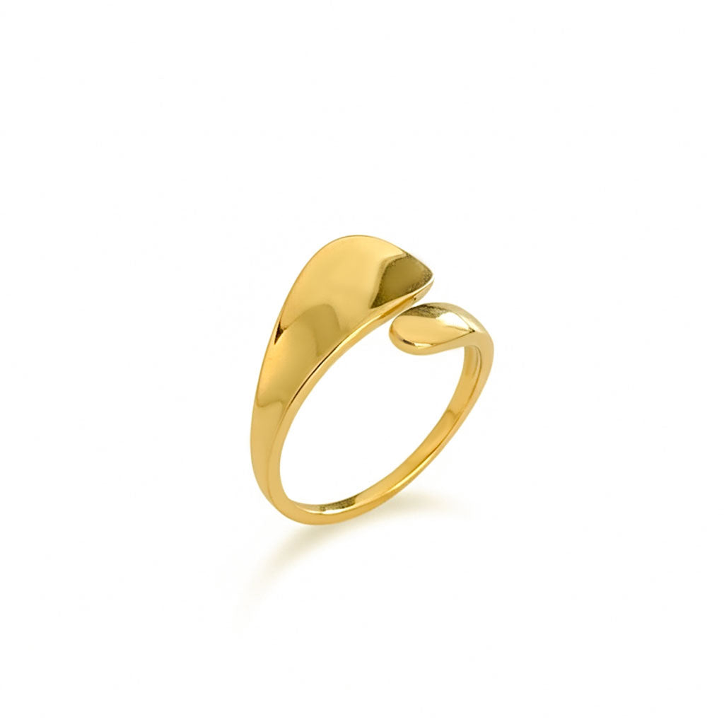 Twins Ring