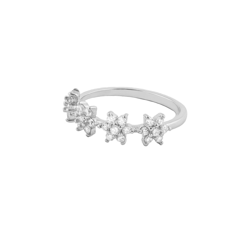 Superstar Silver